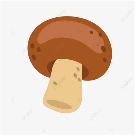 Cute Champignons Hand Drawn Vector Champignons Mushrooms Vegetables