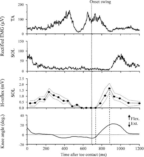 single subject    reflex modulation pattern