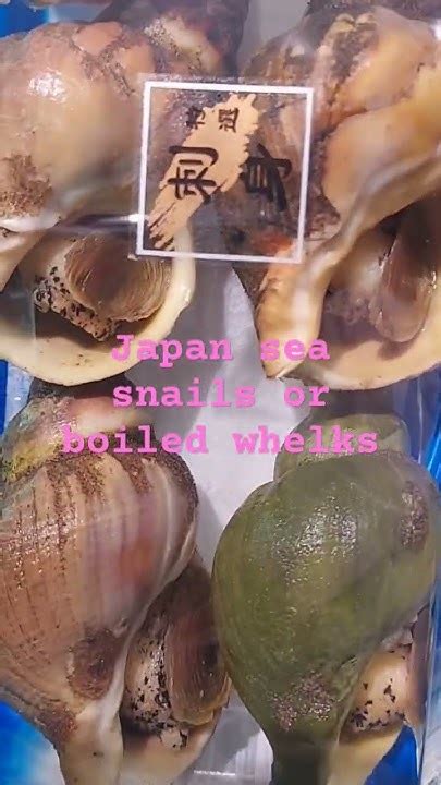 Japan Sea Snails Or Boiled Whelks Youtube