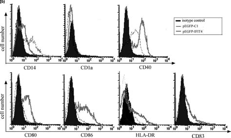 Human Cd Ligand Tnfsf Fluorescein Conjugated Antibody Fab F R D