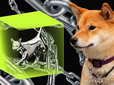 Phân Tích Giá Shiba Inu 67 Có Cơ Sở để Kỳ Vọng đột Phá Sau Khi đã