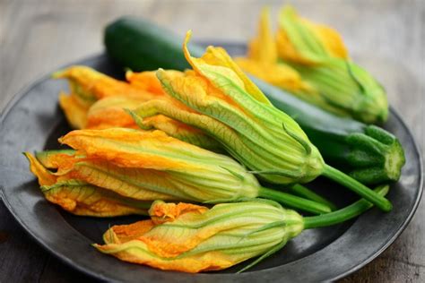 How To Harvest Courgettes Picking And Storing Plantura