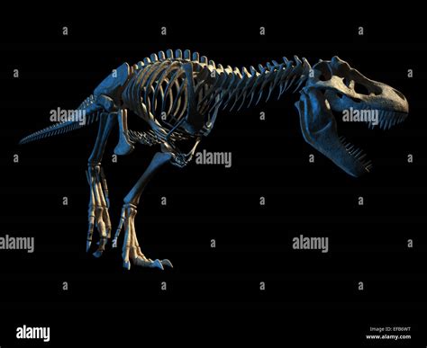 T Rex Dinosaurio Foto Realistas Y Científicamente Correcta Completa El Esqueleto En Pose