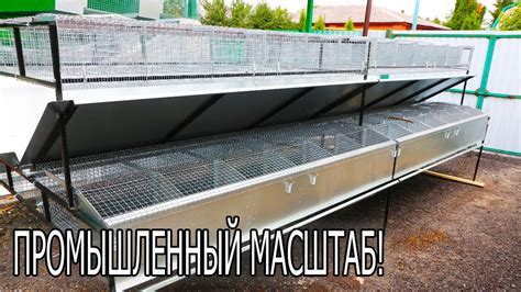 НАША САМАЯ БОЛЬШАЯ КЛЕТКА ДЛЯ КРОЛИКОВ. - YouTube