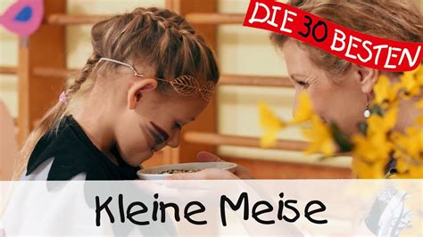 Kleine Meise Singen Tanzen Und Bewegen Kinderlieder Youtube Music