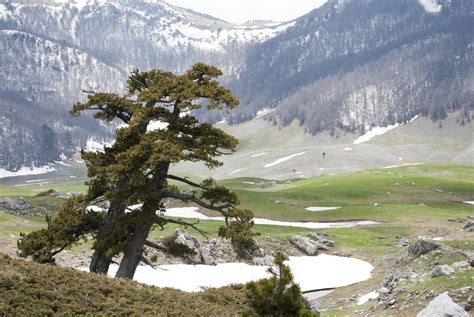 Parco Nazionale Del Pollino Pollino More Experiences