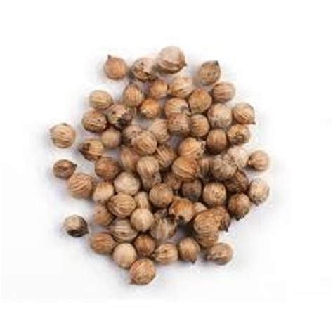 Common 100 Pure A Grade Brown Dried Coriander Seeds At Best Price In