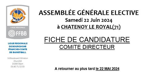 Fiche De Candidature Comit Directeur Cliquez Ici Ligue De