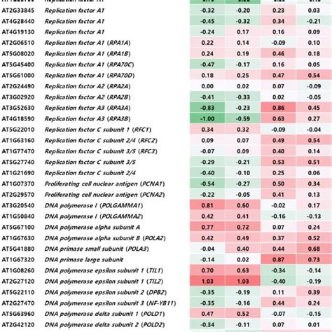 Comparative Transcriptome Expression Profiles Of Genes Involved In Dna