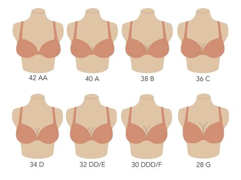 How to Find Your Bra Size: The Easy Guide - Our Fashion Garden | Bra ...