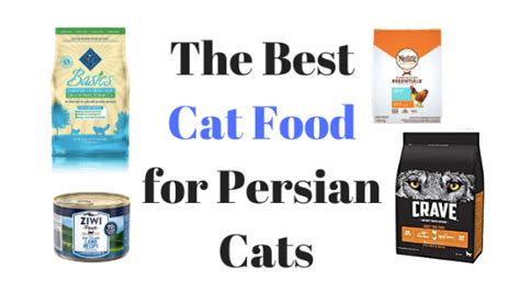 Best Cat Food for Persian Cats: The Ultimate Guide | Persian Cat Corner