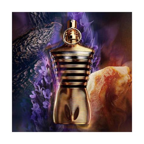 Le Male Elixir Parfum Jean Paul Gaultier Parfumerie Burdin