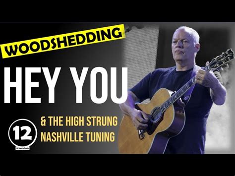 Hey You Pink Floyd Guitar Lesson Nashville Tuning