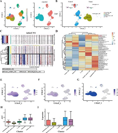 Figure 2 From Comprehensive Analysis Of Hypoxia Related Gene Signature