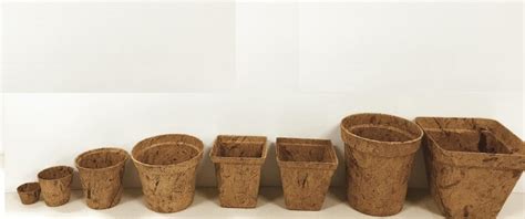 Biodegradable and Compostable Pots – Non plastic pots & Cups – leader ...