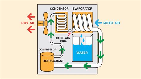 How Dehumidifiers Eliminate Basement Moisture | Baseline Inspections