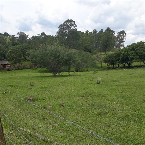 Terreno Venda Campo Do Meio Ara Oiaba Da Serra R M