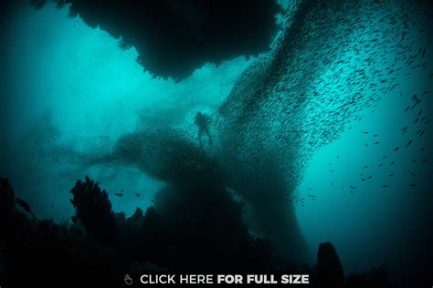 Eye of the Storm 4K wallpaper | Surrealism photography, Underwater images, Oceans of the world