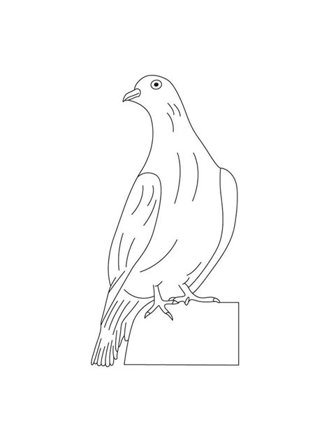 Dove coloring page