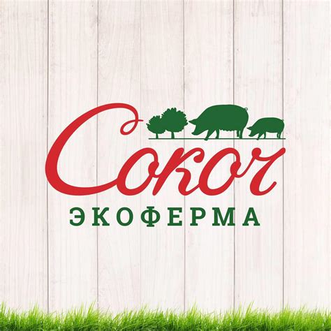Экоферма СОКОЧ