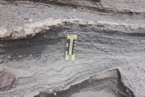 Who can identify these sediments? Which sedimentary environment is ...