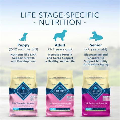 Blue Buffalo Life Protection Formula Natural Senior Small Breed Dry Dog