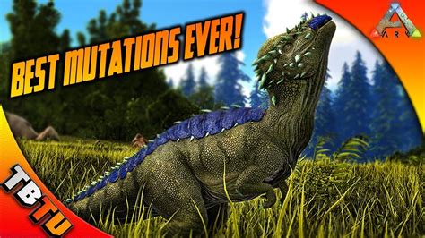 Best Mutations Ever Pachy Mutation Extravaganza Ark Survival Evolved