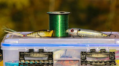 Fluorocarbon Vs Monofilament Fishing Lines Wired Fish