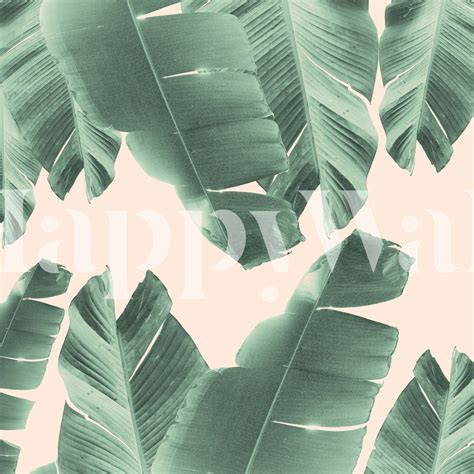 Buy Banana Leaves Tropical 2 Wallpaper - Happywall