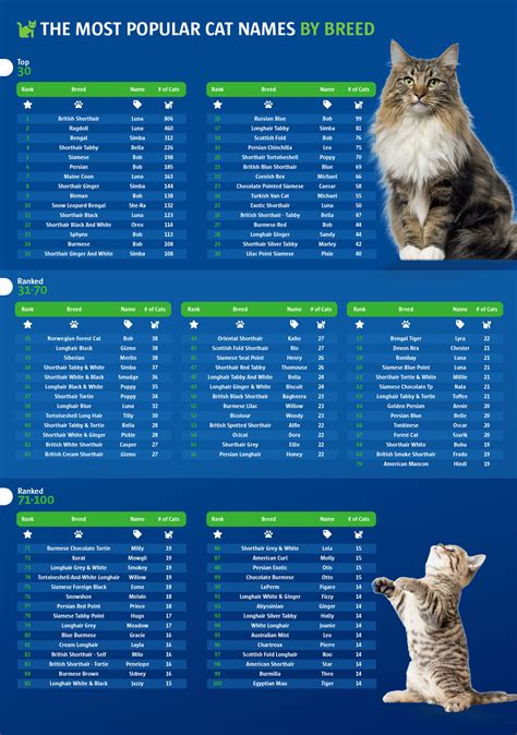 The Most Popular Pet Names | comparethemarket.com