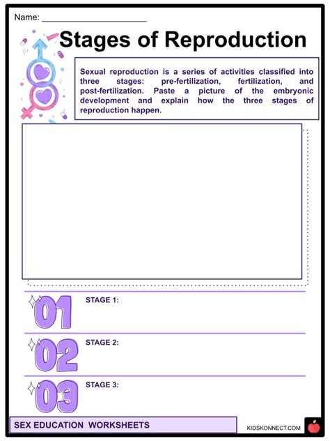 Sex Education Facts And Worksheets Anatomy Health Importance