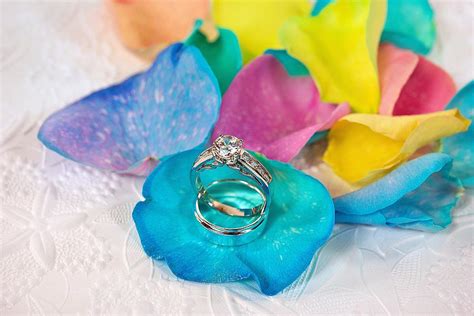 Rings On Rainbow Rose Petal Photograph By Maria Dryfhout Fine Art America