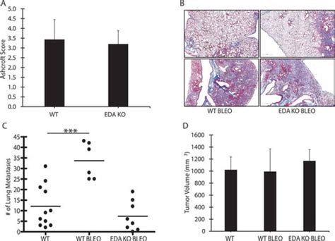 Full Article Interplay Between Aging Lung Inflammation Remodeling