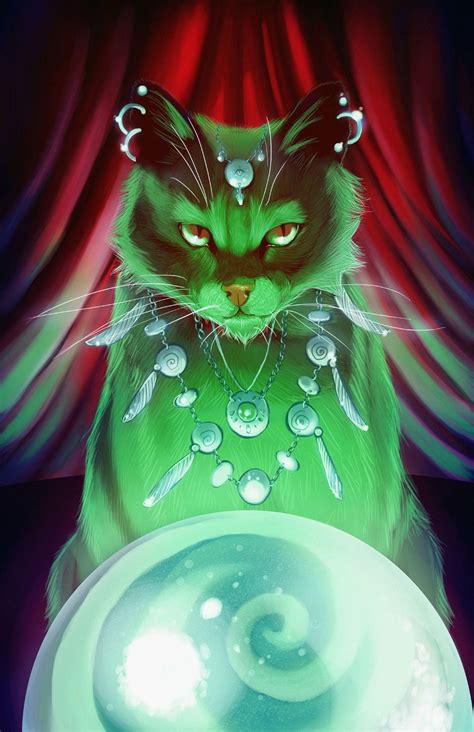 Magic Cat Wallpapers Top Free Magic Cat Backgrounds Wallpaperaccess