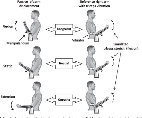 Kinesthetic Sense