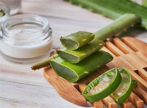 7 brillantes maneras de usar el Aloe más allá de tratar quemaduras