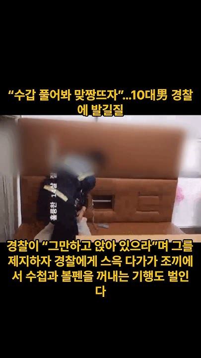 수갑 풀어봐 맞짱뜨자10대男 경찰에 발길질 촉법소년 논란 재점화 Youtube