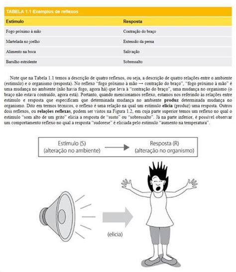 Ebook Princípios Básicos De Análise Do Comportamento Grupo A