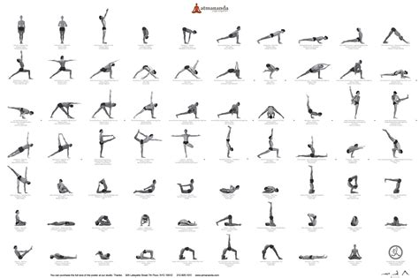 Yoga Poses Vinyasa Yoga Poses Yoga Poses Pictures Vinyasa Flow Yoga