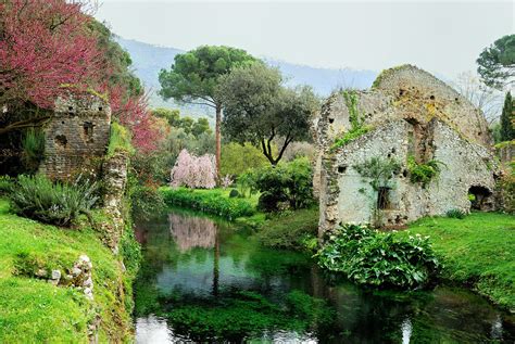 Bellezza Assoluta Tanti Auguri Maura Oasi Di Ninfa LT Flickr