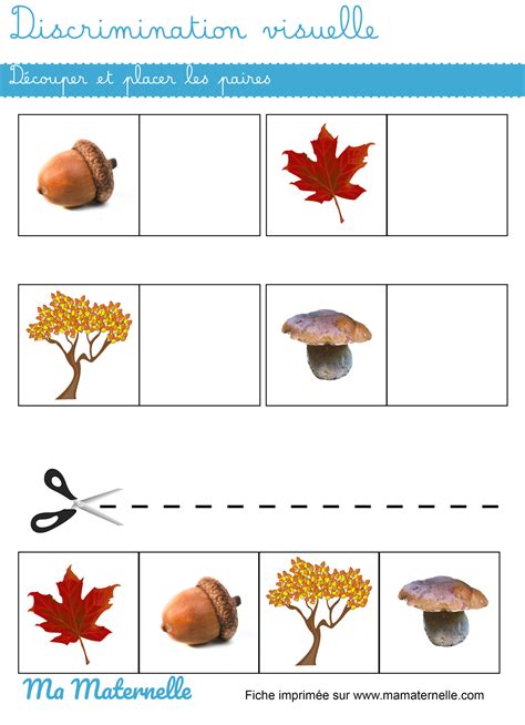 Discrimination visuelle découper et placer les paires Ma Maternelle