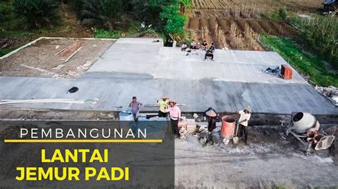 Pembangunan Lantai Jemur Padi Persawahan Padang Jaya Youtube