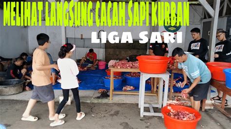 Melihat Proses Cacah Sapi Hewan Kurban Youtube