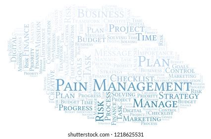 Management System Word Cloud Made Text Stock Illustration