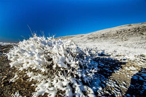 Death Valley Covered with Snow, California USA Stock Photo - Image of tourism, view: 200291798