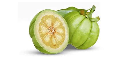 Understanding Garcinia Cambogia Before You Buy | Healthy B Daily