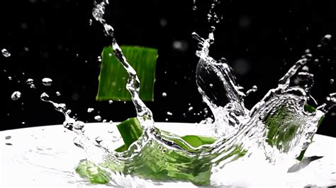 Aloe Vera Falling In To A Water Splashing Stock Video Footage Storyblocks