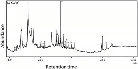 Gcms Chromatogram Of Infused Aqueous Currythaumatin Tea Extract The