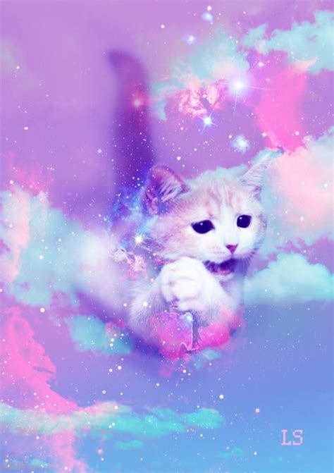 Galaxy Cat The Surreal Pinterest Galaxy Cat Galaxies And Heavens