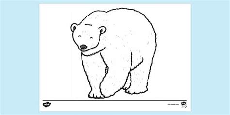 Free Polar Bear Colouring Colouring Sheets Twinkl